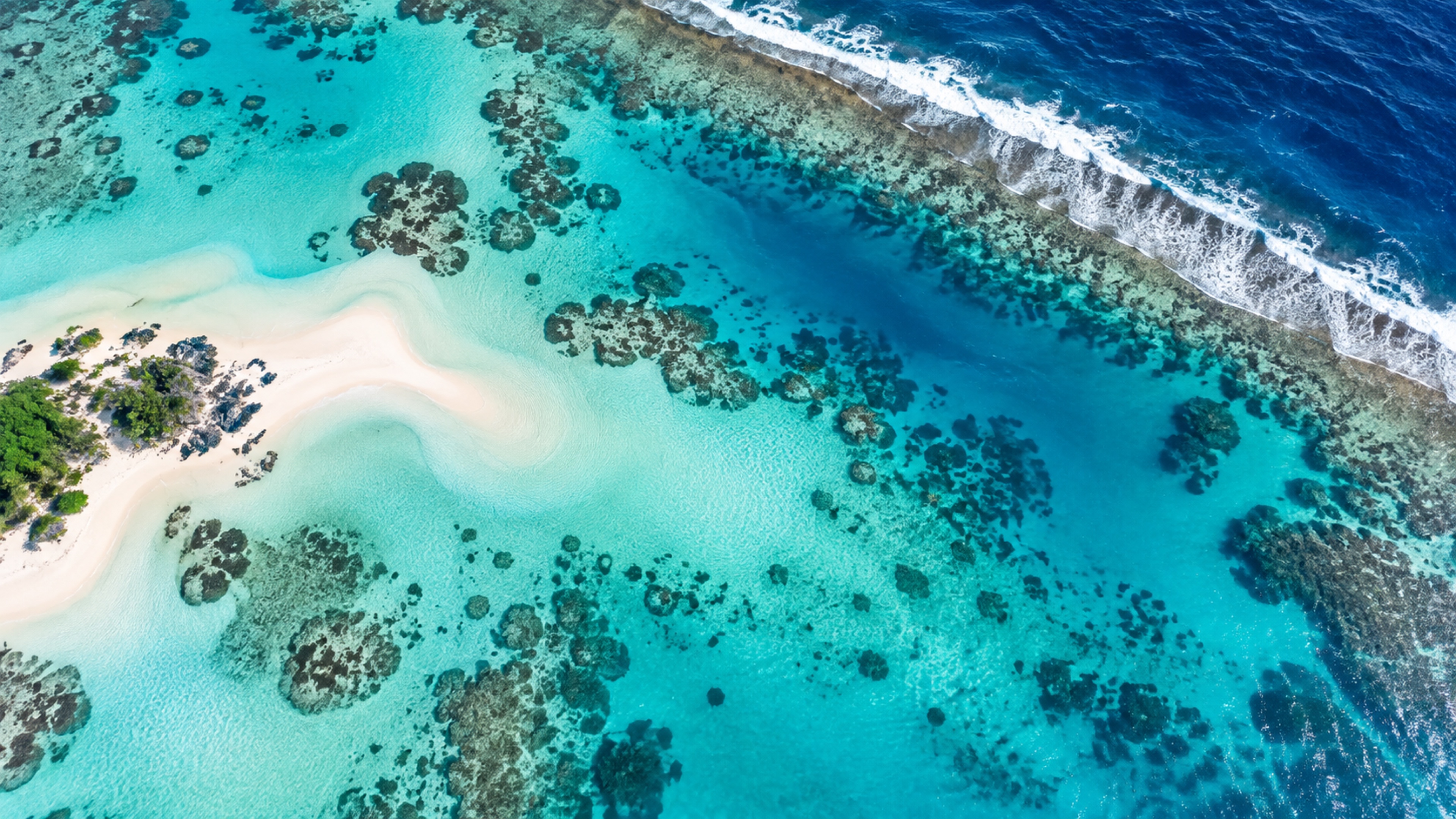 Coral Lagoon wallpaper